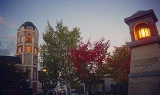 日本認知症学会